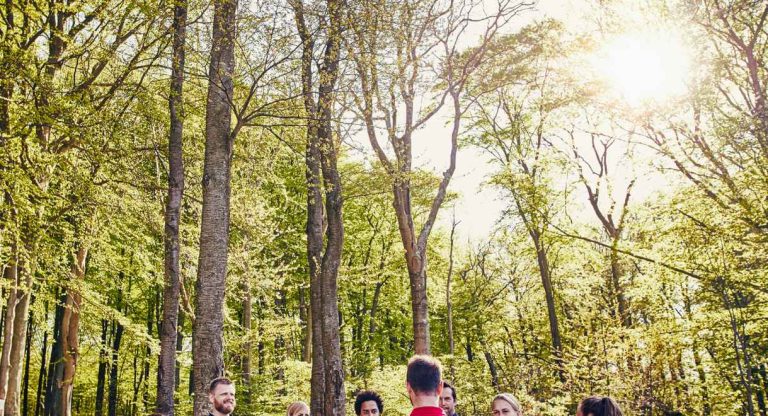 Groupe de collegues lors d'une activite de team building en foret au soleil