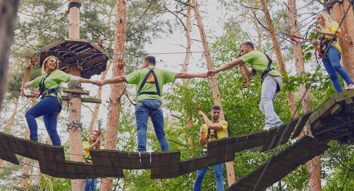 Groupe de collègues se tenant la main sur un parcours de cordes en forêt lors d'une activité teambuilding